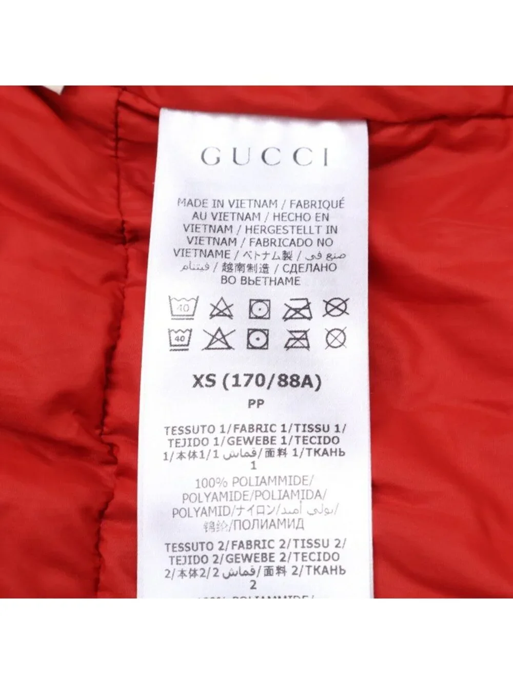 Gucci typexthe north